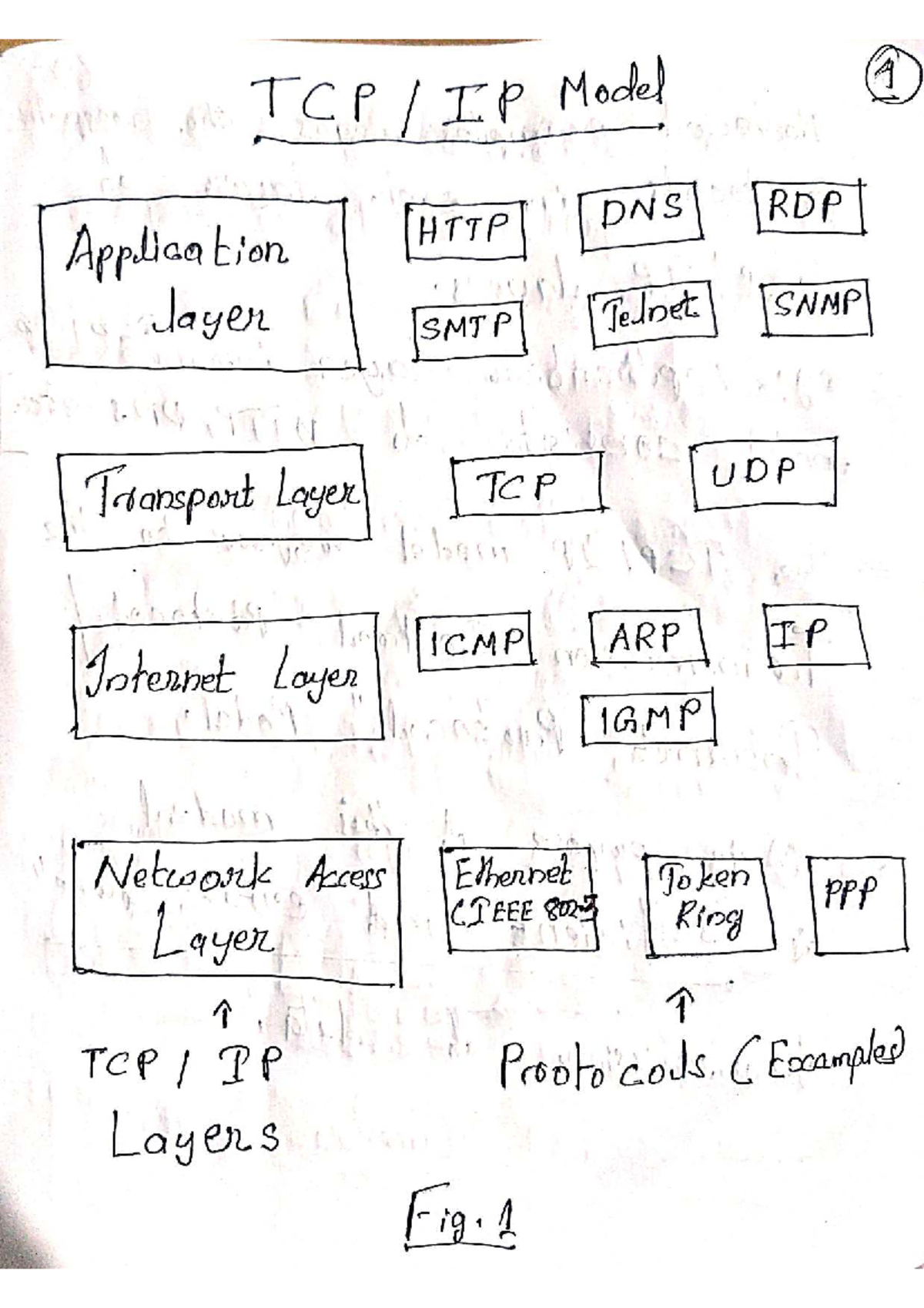 TCP/IP Model Overview: Layers, Protocols, and Functions - Studocu
