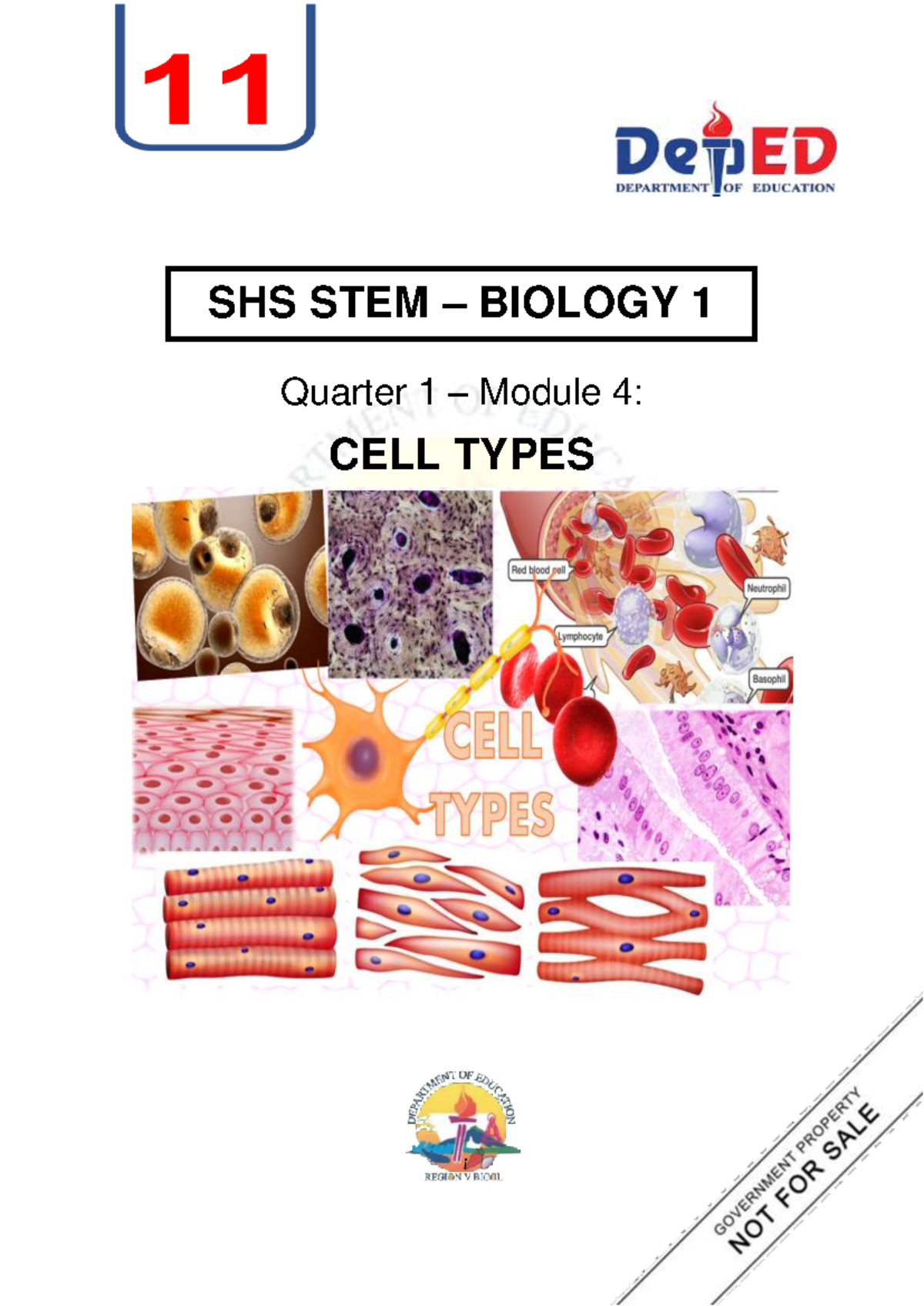 SHS STEM BIO 1 Final Exam Notes: Cell Types & Tissues - Week 2 - Studocu