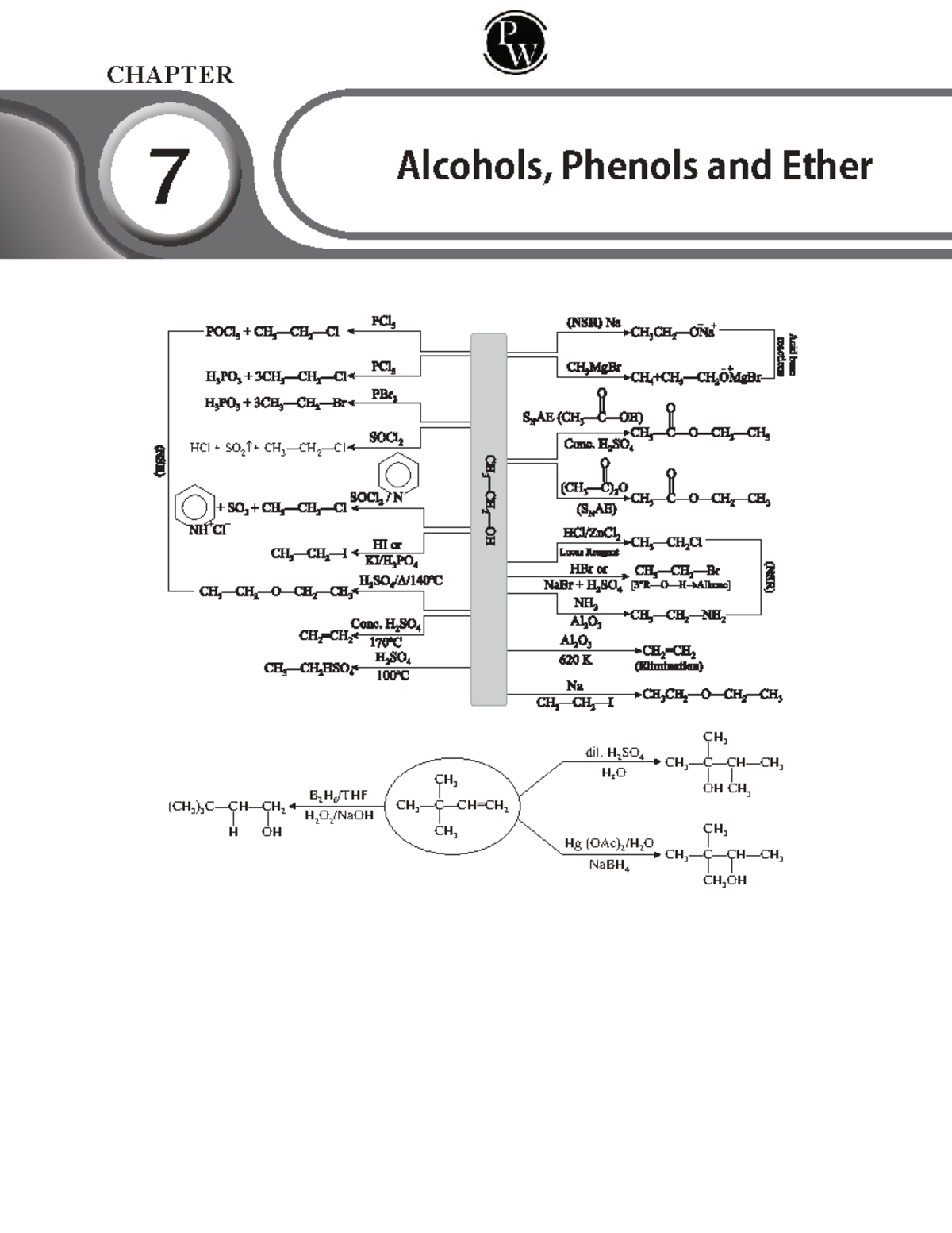 Alcohol, Phenol and Ether Short Notes Lakshya NEET 2025 - CHAPTER 7 ...