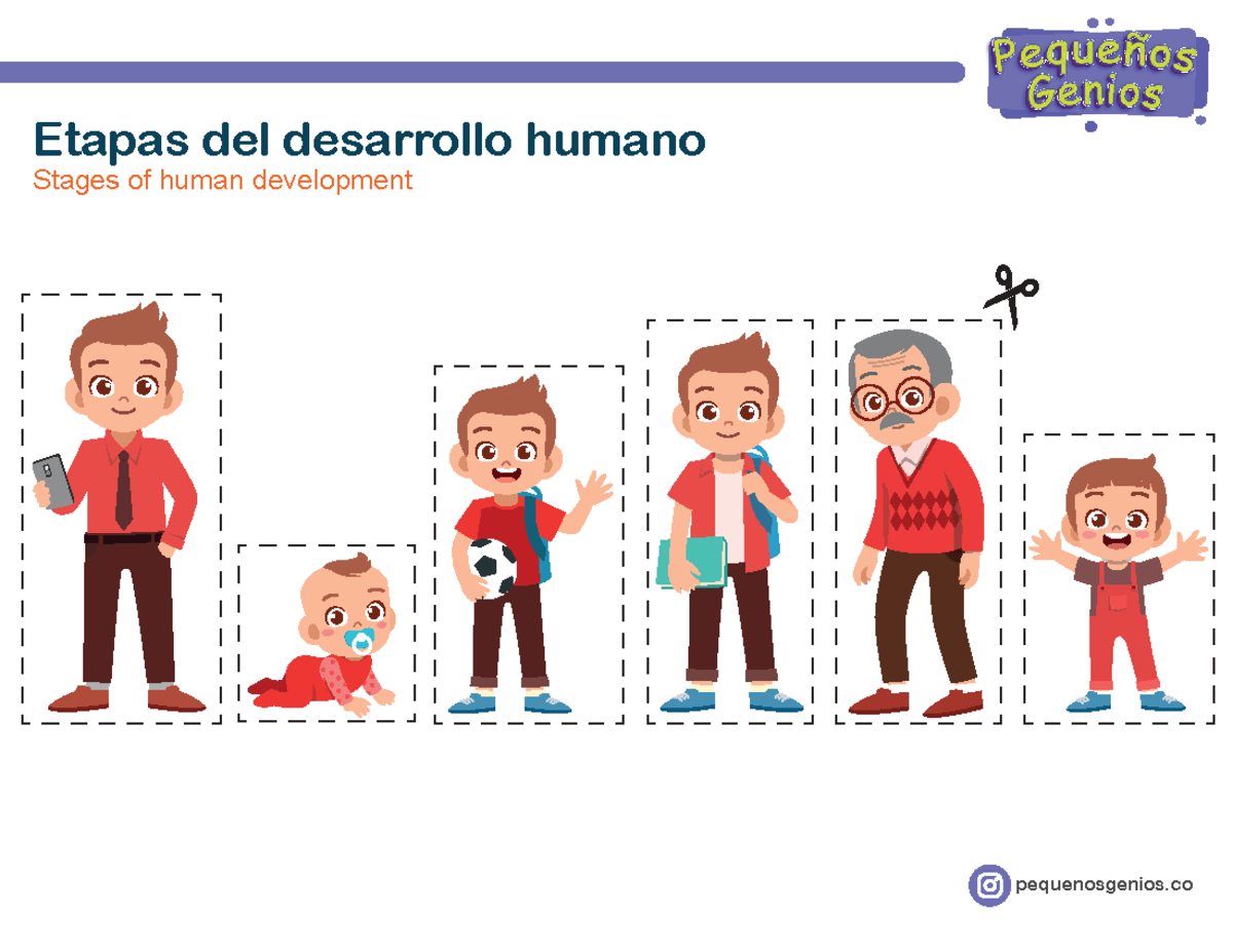 Etapas Del Desarrollo Humano ETAPAS DEL DESARROLLO HUMANO