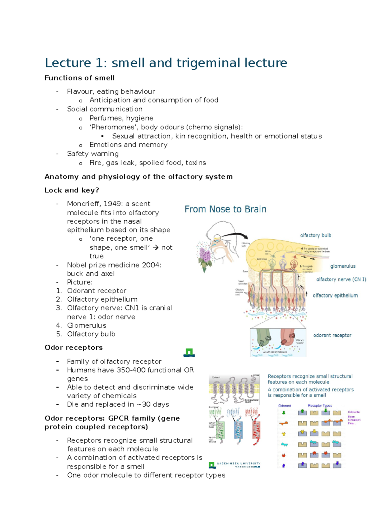 Lecture Notes on Principles of Sensory Science: Understanding Smell and ...