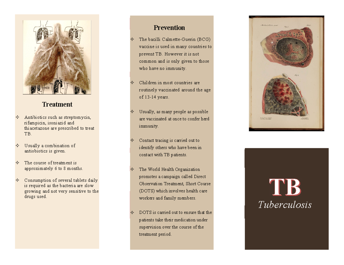 TB Treatment and Prevention Strategies: A Comprehensive Overview - Studocu