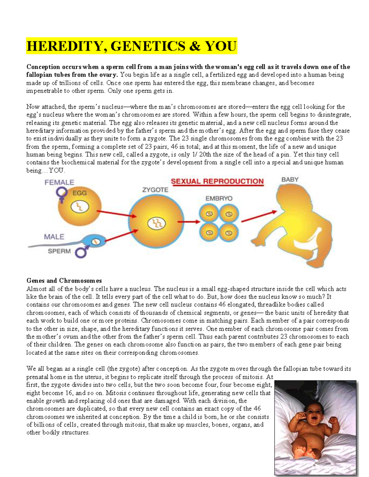 CH1 - Heredity and Genetics: Understanding Conception and DNA - Studocu