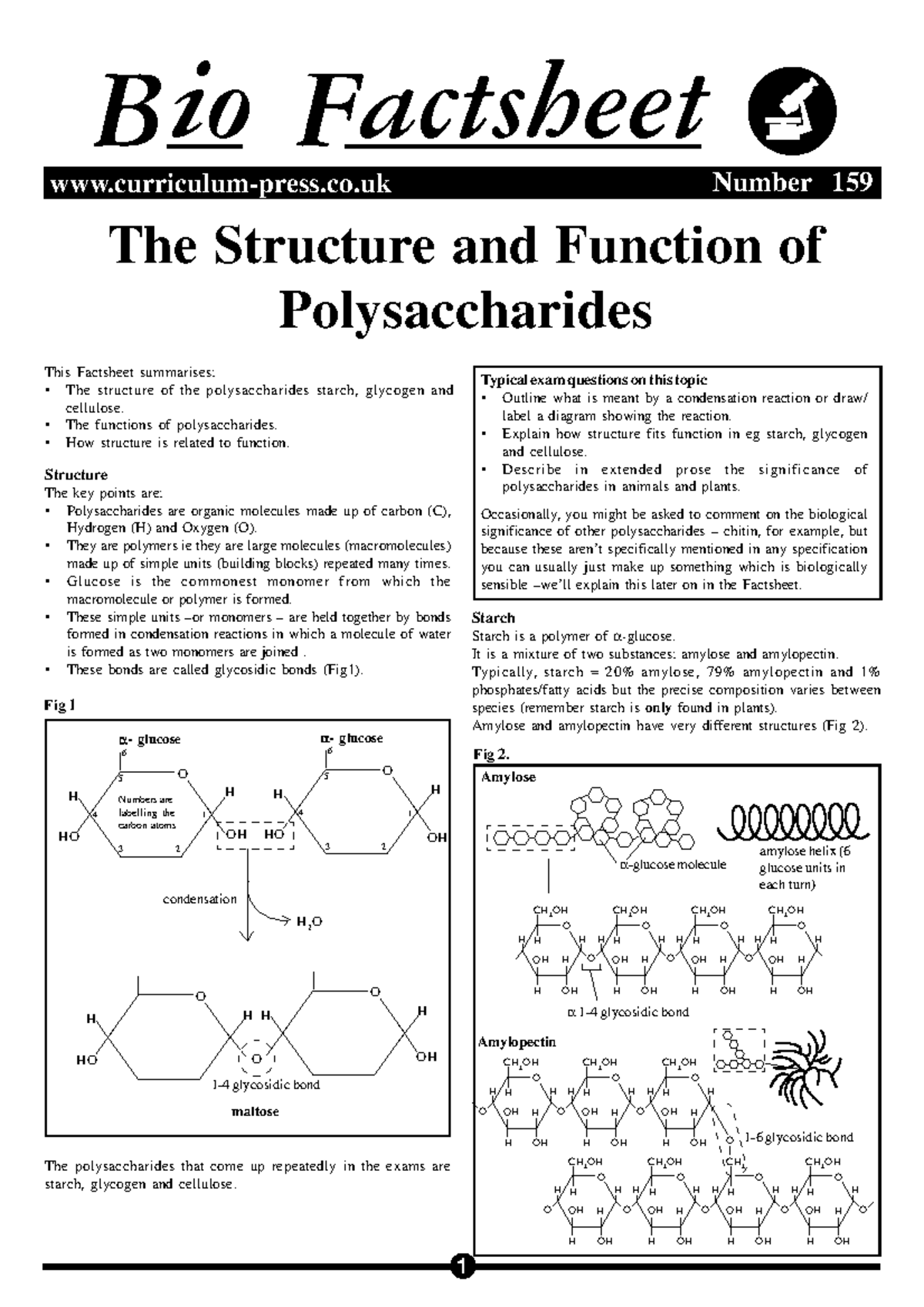 Final Exam Bio Factsheet: Structure & Function of Polysaccharides (159 ...