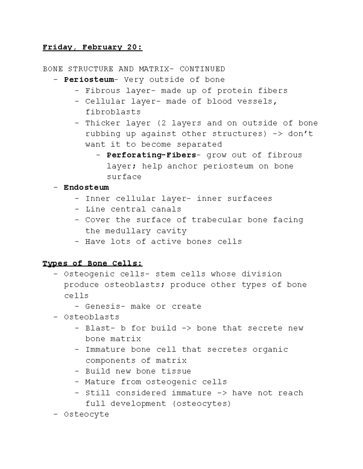 BONE STRUCTURE AND MATRIX - Lecture Notes - Studocu