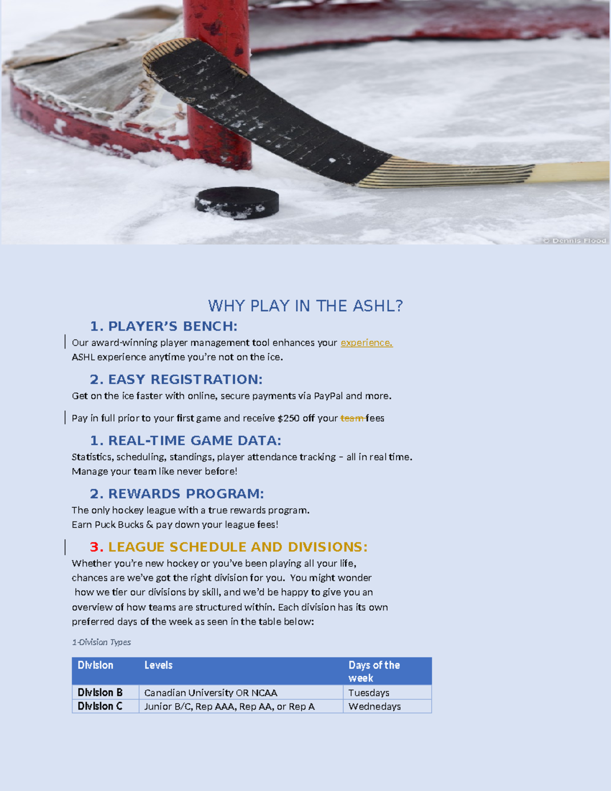 ASHL Project 5: Player Management & League Experience Overview - Studocu