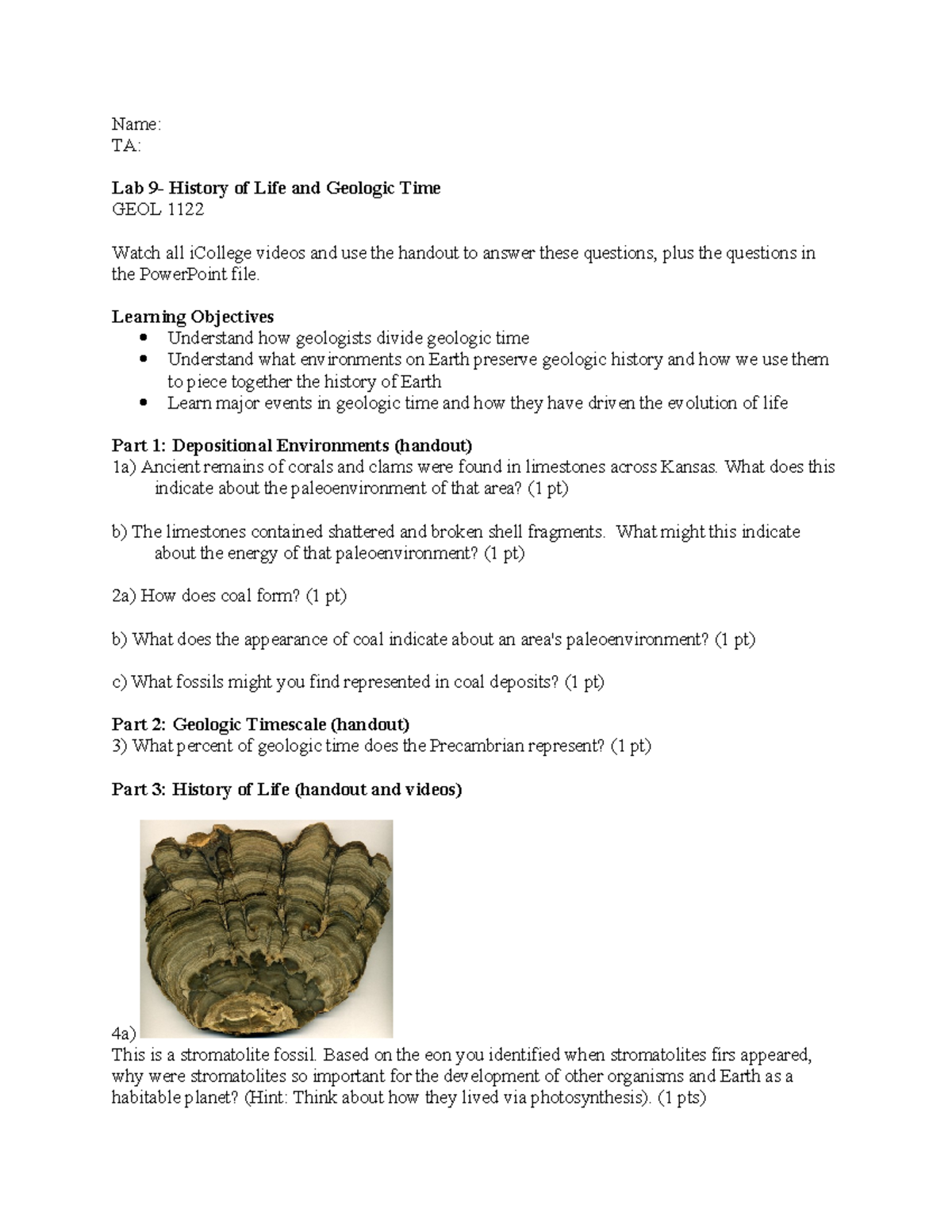 Lab 9: History of Life and Geologic Time GEOL 1122 Assignment - Studocu