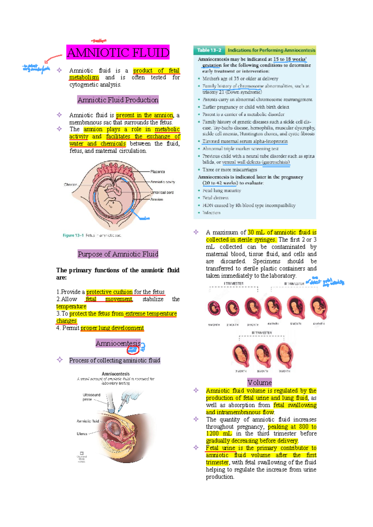 Amniotic Fluid Structure and Functions in Fetal Development - Studocu
