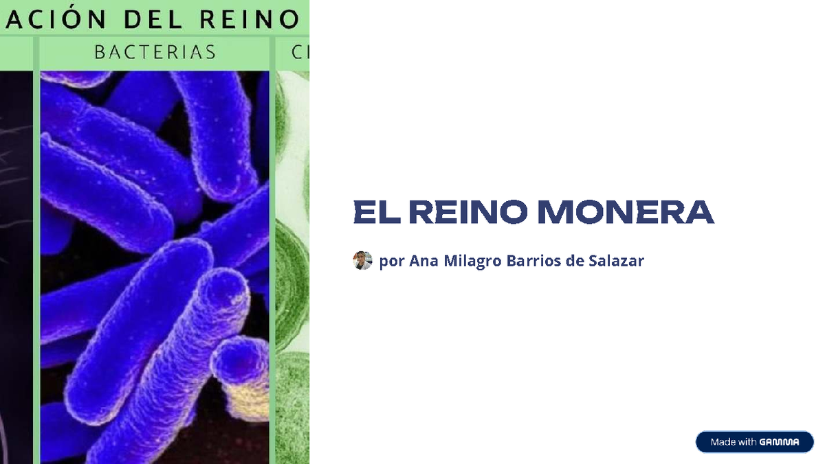 EL REINO MONERA: Características y Clasificación - Studocu