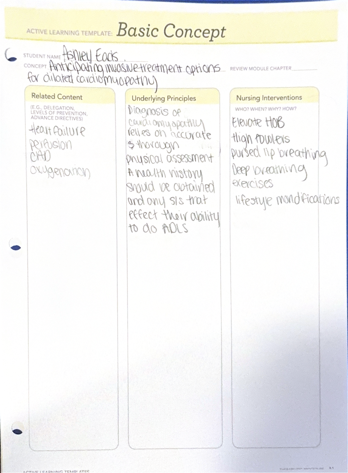 Active Learning Template 2 - ACTIVE LEARNING TEMPLATE: Basic Concept ...