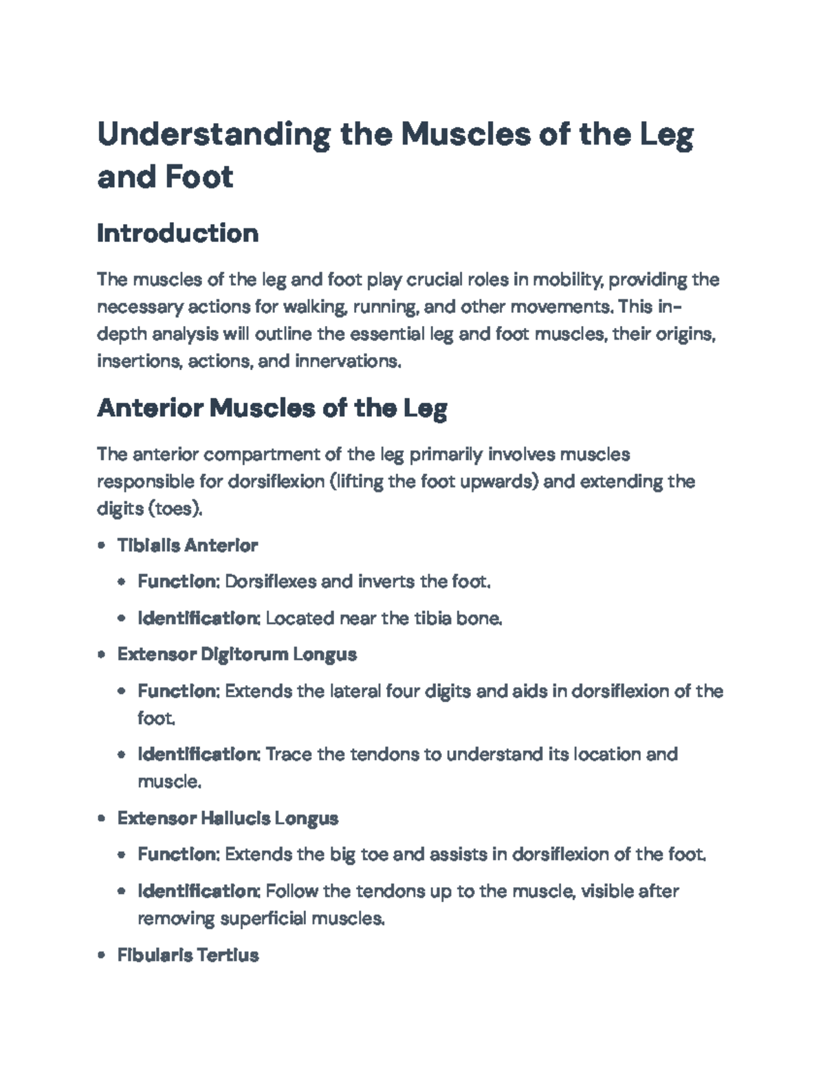Understanding the Muscles of the Leg and Foot: Anatomy and Functions ...