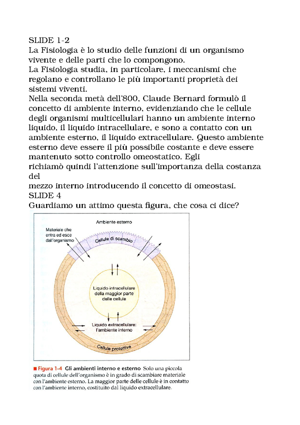 liquido intracellulare e extracellulare Fisiologia e Omeostasi: Concetti Fondamentali e Feedback 1A
