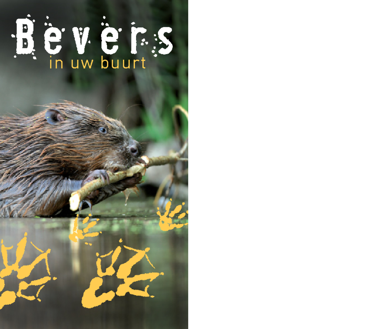 Beverbrochure LOW 2012: Informatie over Bevers en hun Leefomgeving ...