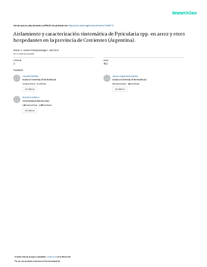 20241008 Exportacion - DALLL - 