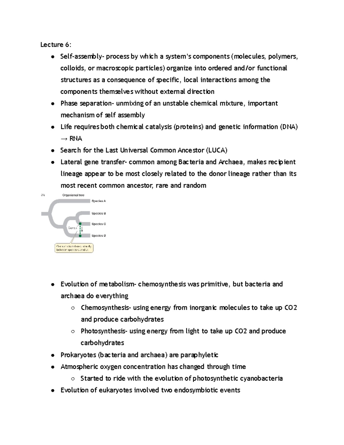 Bio 104 Final Exam Study Guide: Evolution & Plant/Fungi Lectures - Studocu