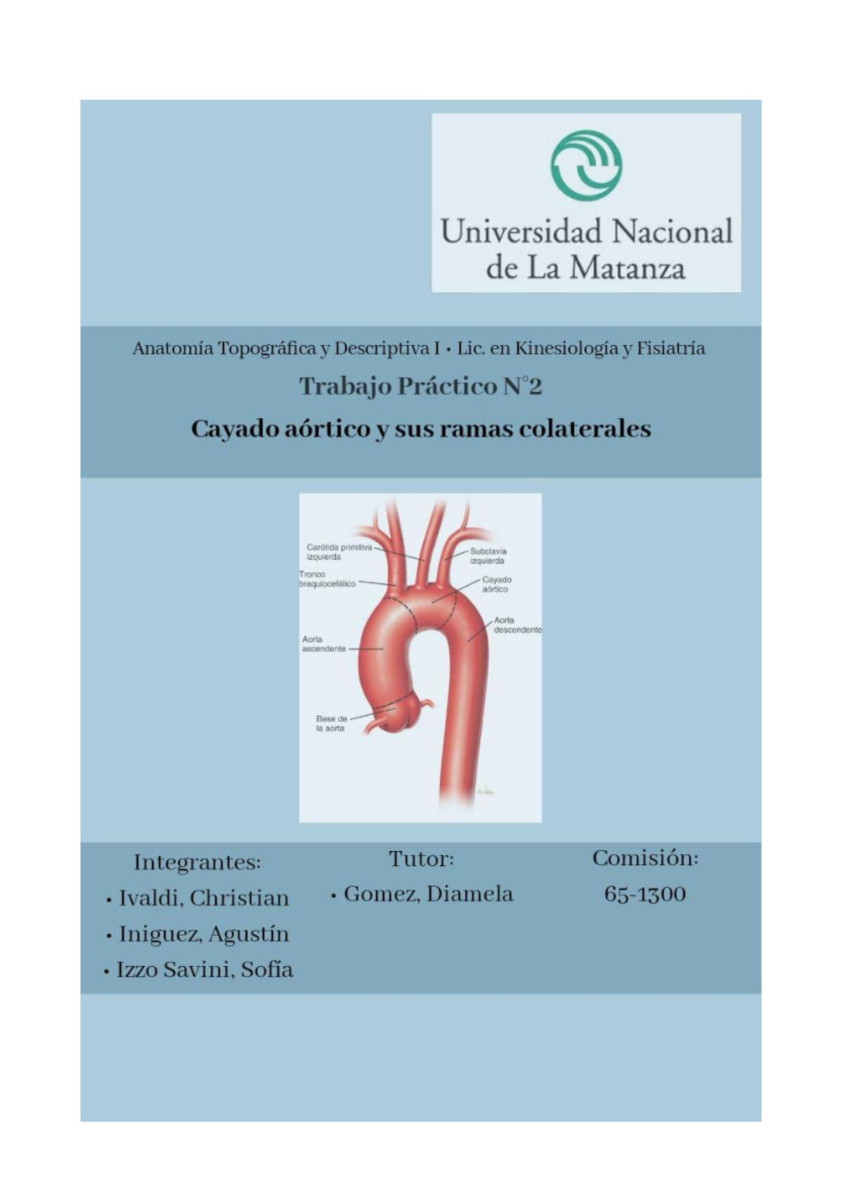 3 Ramas colaterales del Cayado Aortico - Arco de la aorta o Cayado ...