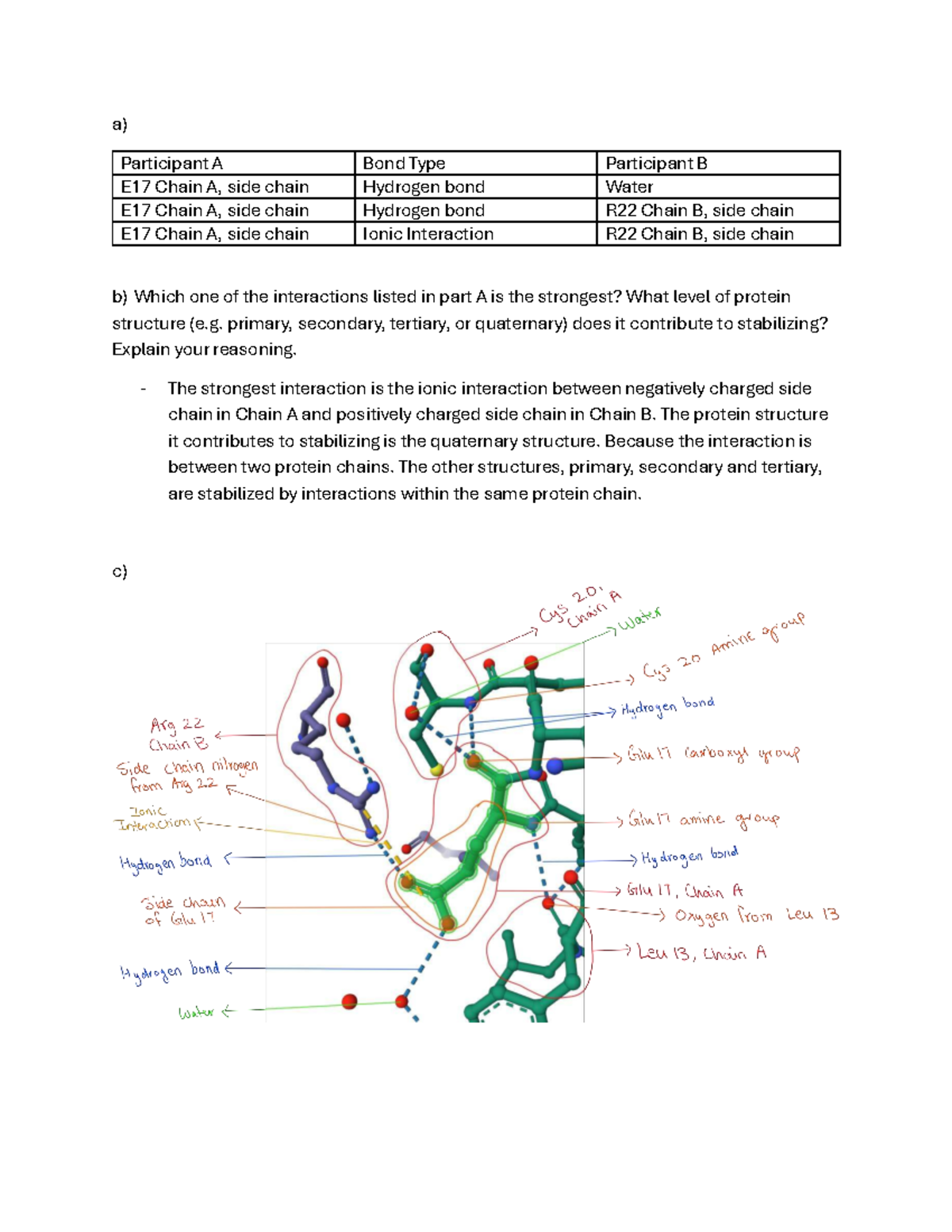 Protein Interactions and Structure Analysis: E17 & R22 Chains - Studocu