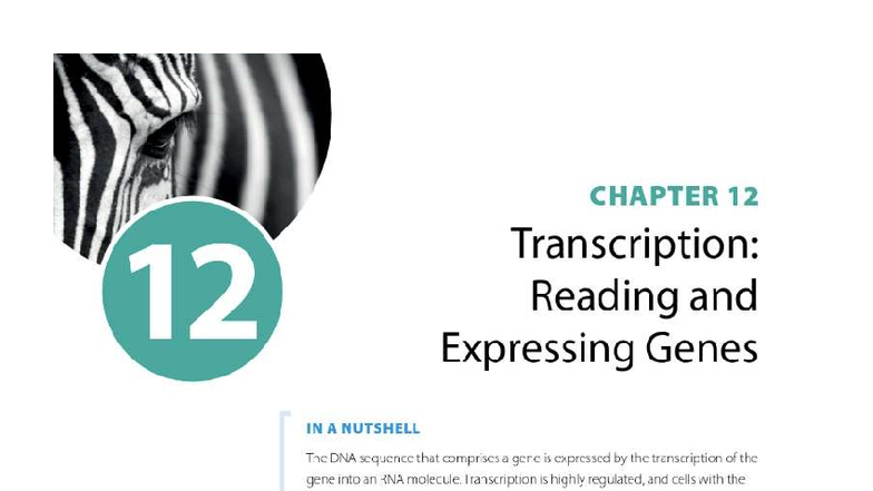 ANSC 3121 - Chapter 12: Transcription and Gene Expression Overview ...