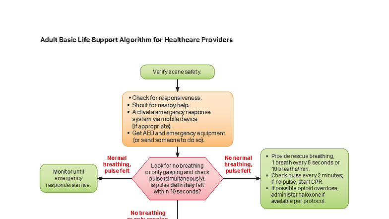Adult BLS Algorithm for Healthcare Providers (2020) - Studocu