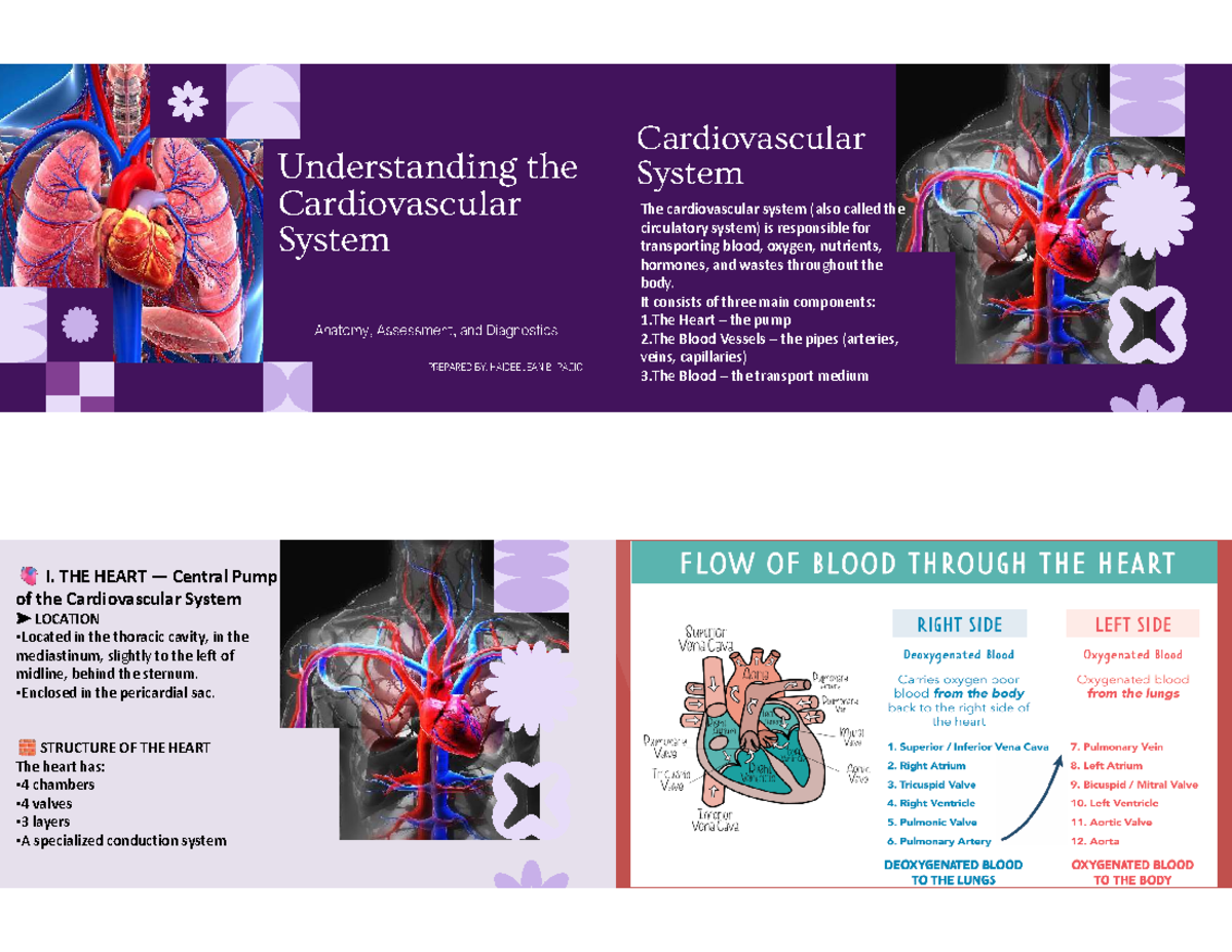Blood Tests and Cardiac Health: Interpretations and Assessments (NUR ...