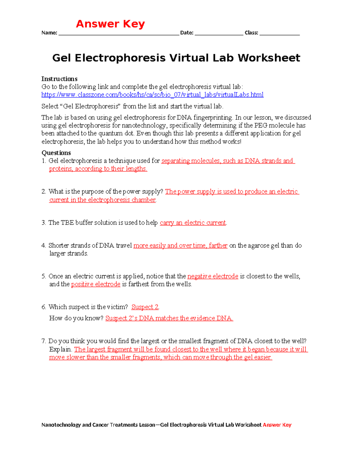 Gel Electrophoresis Virtual Lab Worksheet Answer Key (Lesson 03) - Studocu