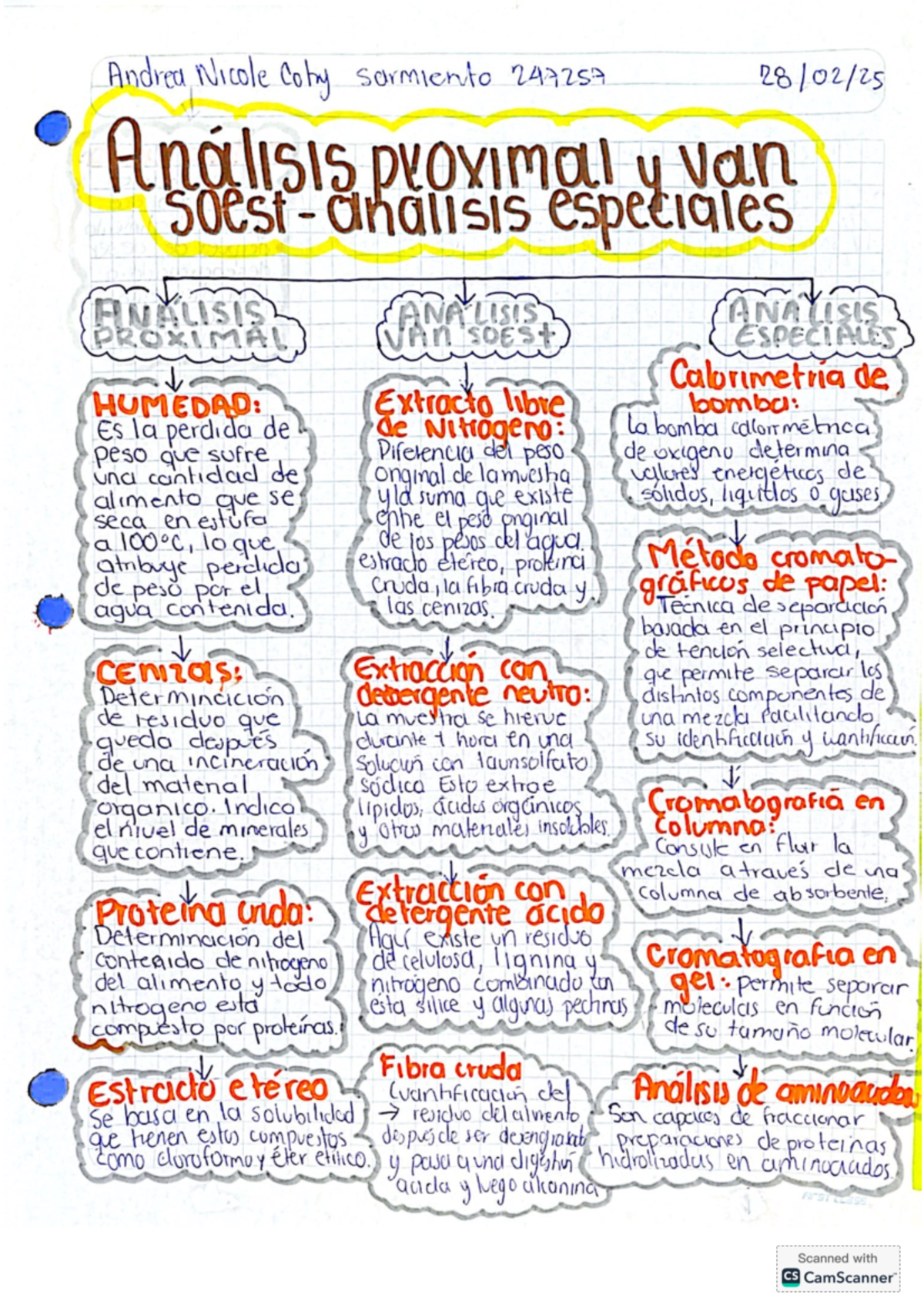 Mapa conceptual tipos de análisis Andrea Cotry - Andrea Nicole Coty ...