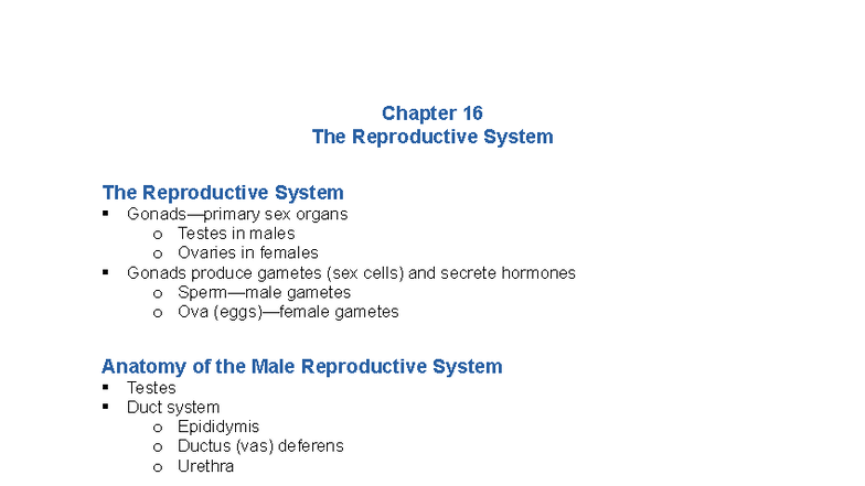 Reproductive System Overview: Anatomy Functions and Phases (BIO 101