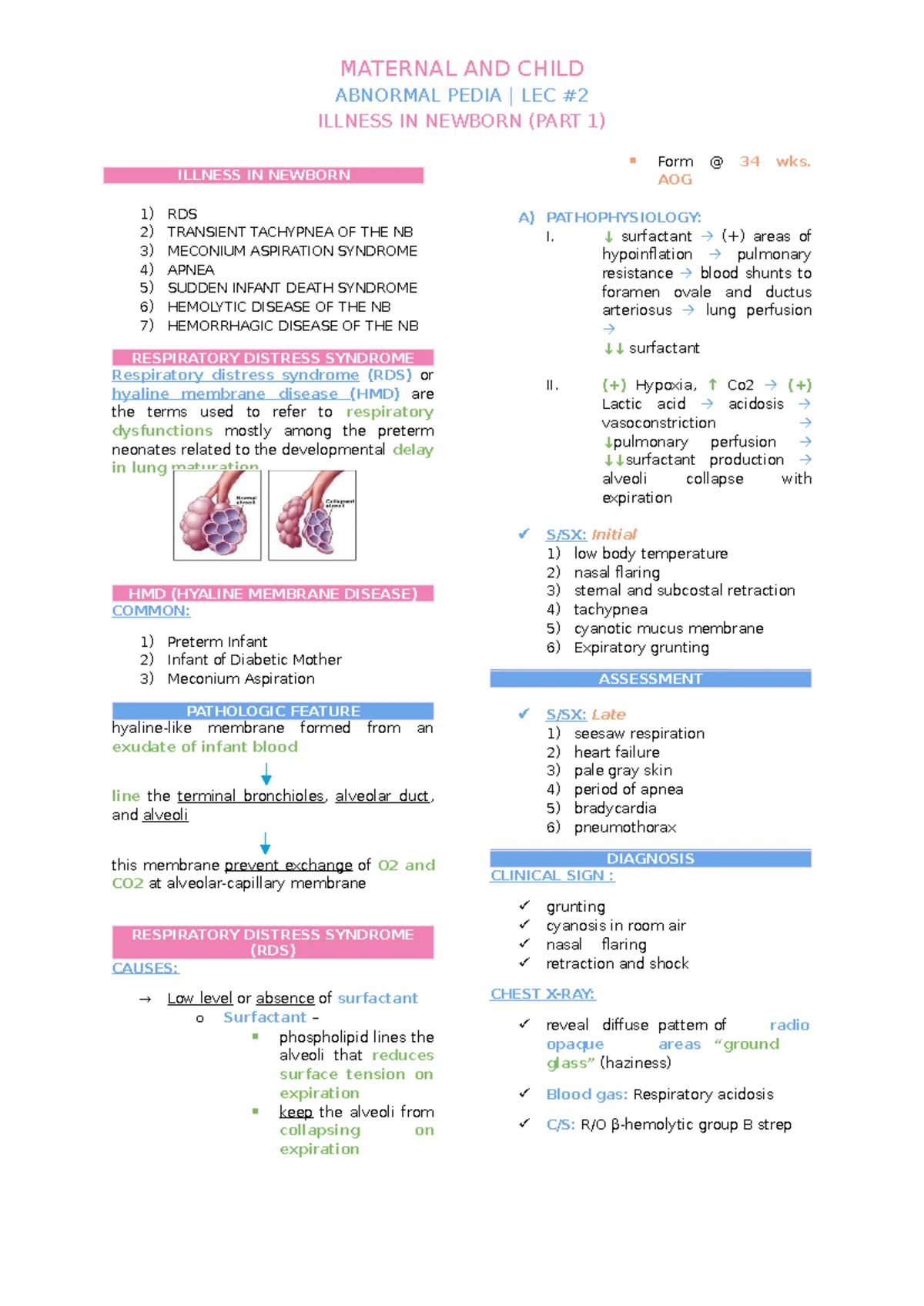 AB Pedia (LEC #1): High-Risk Newborn Assessment & Immediate Needs - Studocu