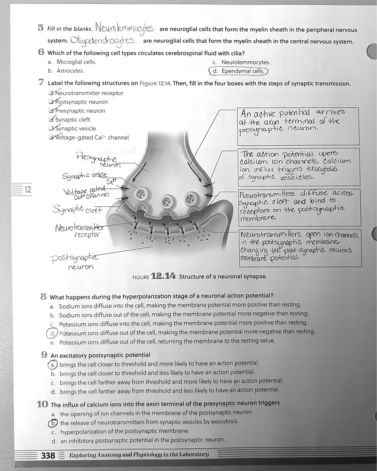 Unit 5 Recall Check: Key Concepts and Important Notes - Studocu