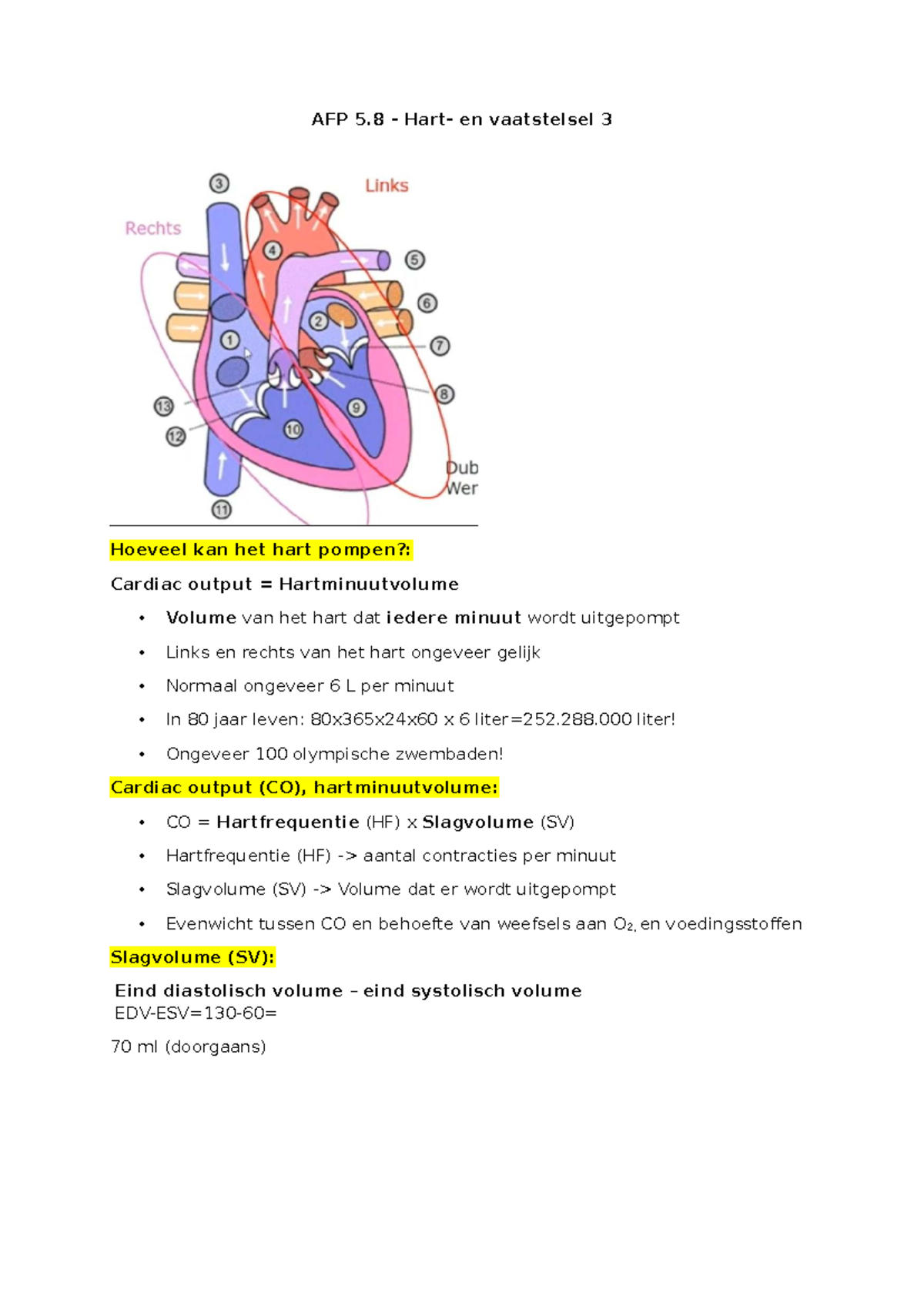 AFP 5.8 Hart- en Vaatstelsel 3: Cardiac Output en Hartfalen - Studeersnel