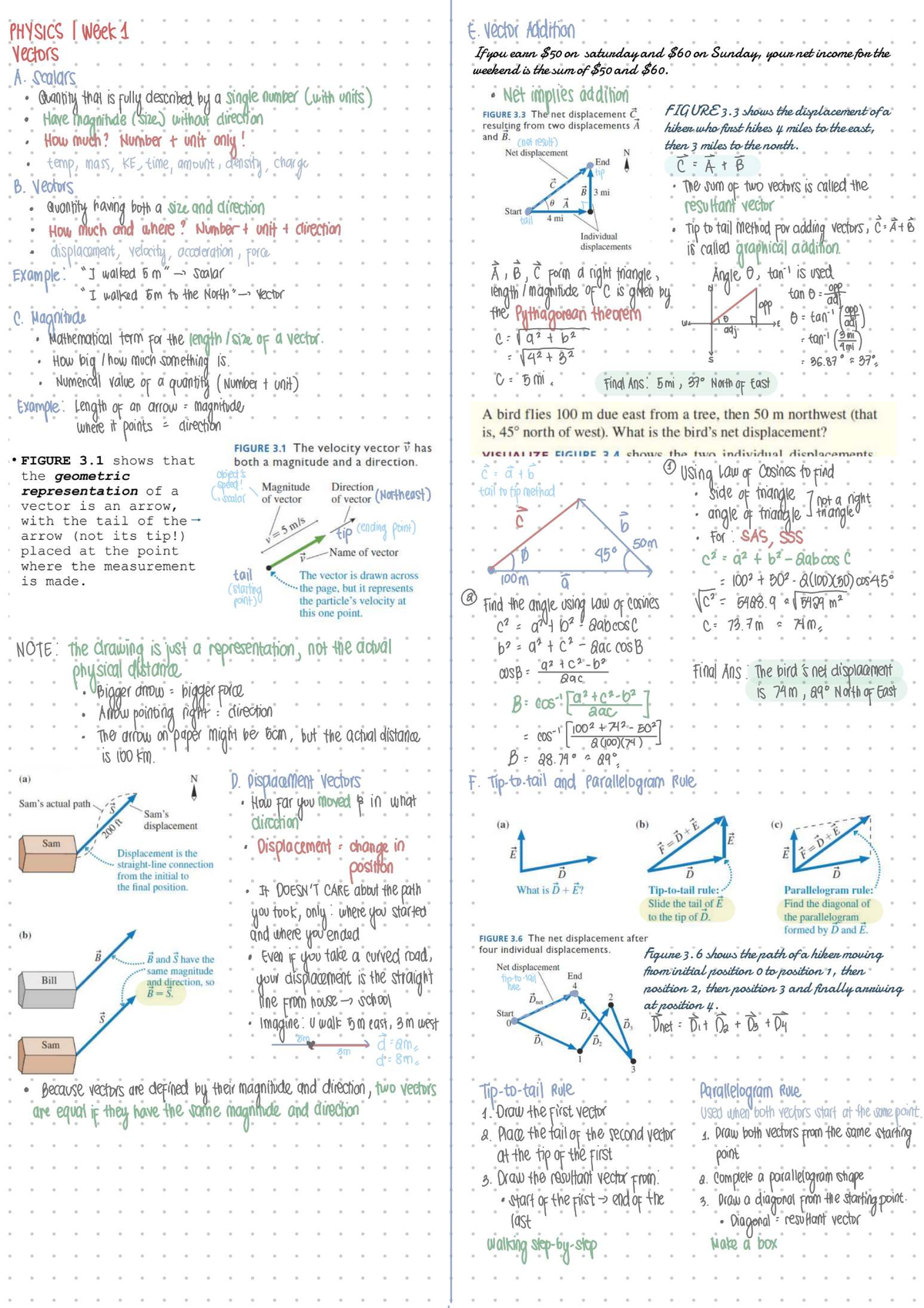 PHYSICS Lecture Notes: Week 4 on Vectors and Displacement - Studocu