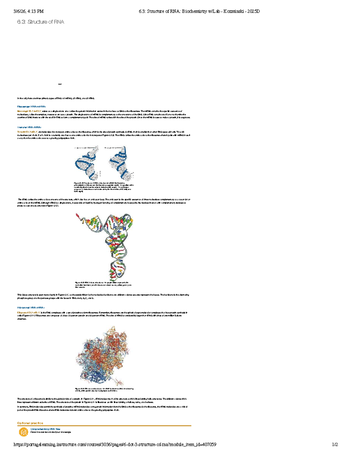 6.3: Structure of RNA - Biochemistry w/Lab - Studocu