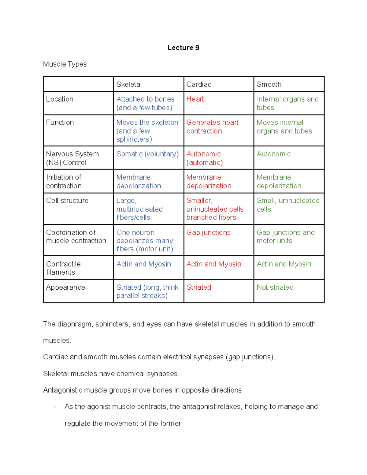 BIO 203 Midterm #2 Muscle Types and Contraction Study Guide - Studocu