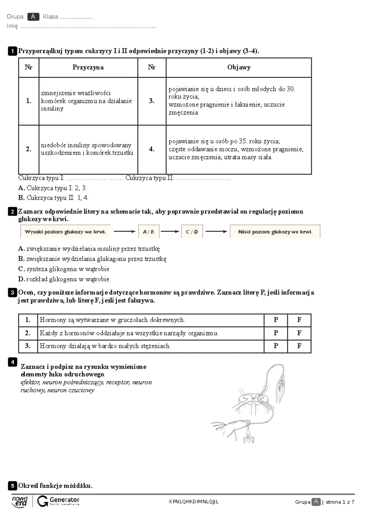 Puls życia Aparat Ruchu Sprawdzian