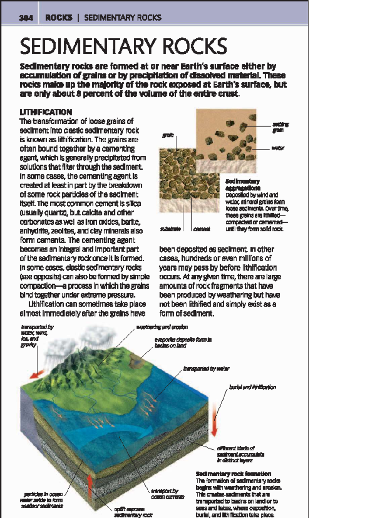 Sedimentary rocks identification - 304 ROCKS SEDIMENTARY ROCKS ...