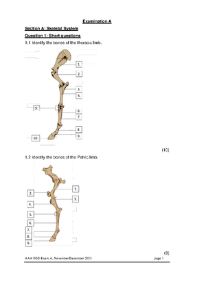 APY141T - TUT - Anatomy and Physiology I - Studocu