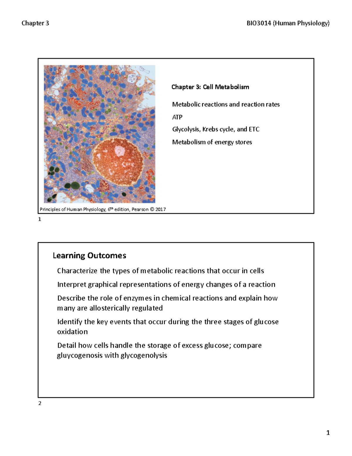 Chapter 3: Cell Metabolism and Energy (BIO3014) - Studocu