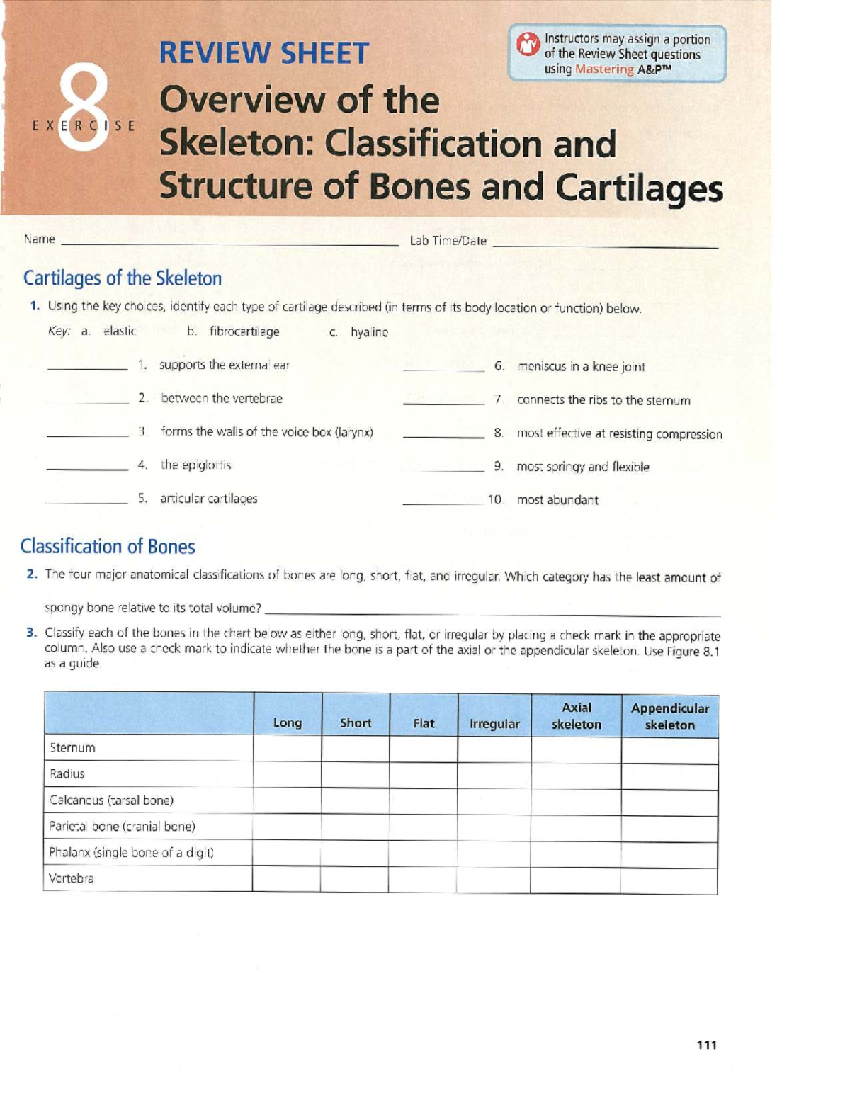 BI209L-EX.8 Review Sheet: Classification & Structure of Skeleton - Studocu