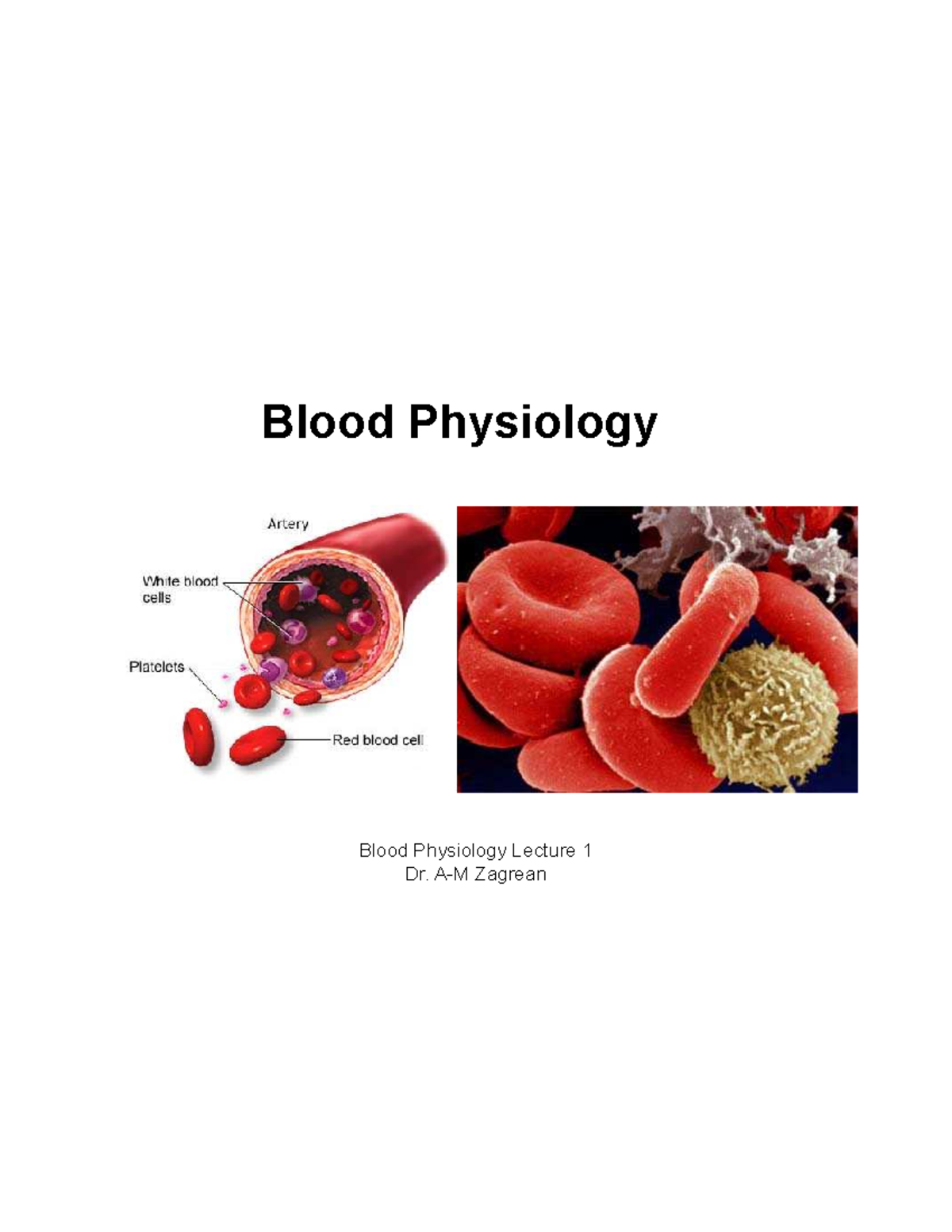 Blood Physiology Lecture 1: Functions and Components Overview - Studocu