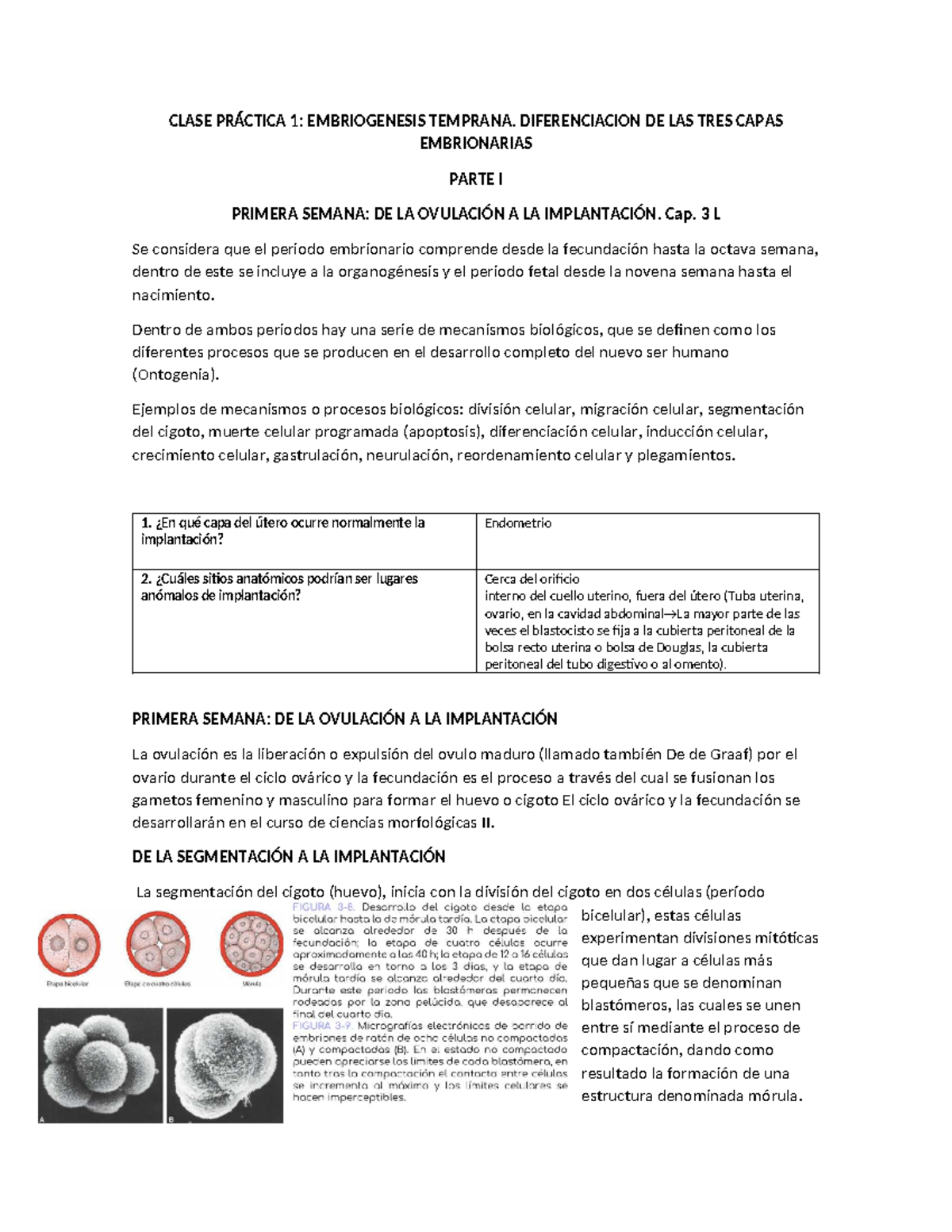 CLASE PRÁCTICA 1: EMBRIOGENESIS TEMPRANA Y DIFERENCIACIÓN EMBRIONARIA - Document Preview