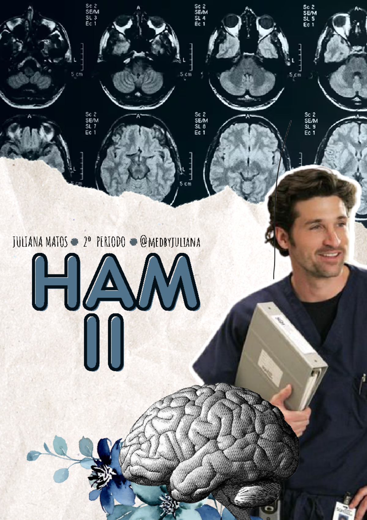 HAM II - Resumo do Estudo e Análise de Contéudo - Studocu