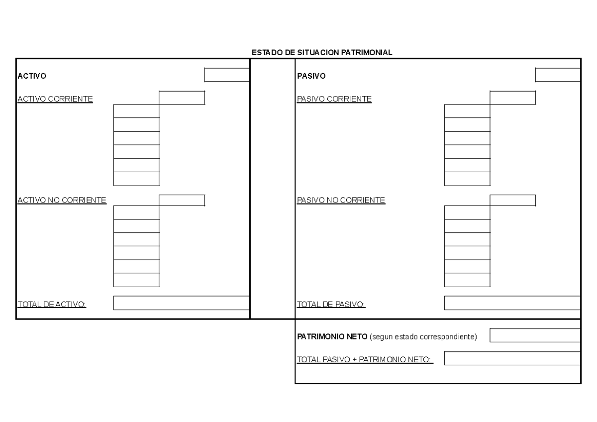 Plantilla Estado DE Situacion Patrimonial - Hoja 1 - Contabilidad ...