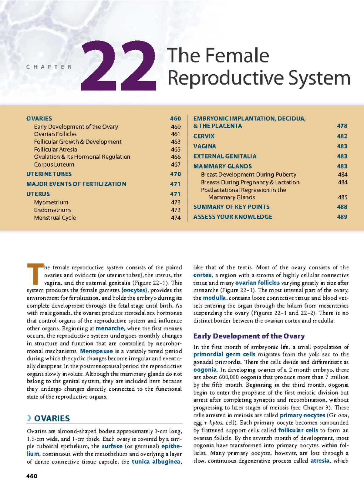 Chapter 19: The Urinary System - Functions, Structure, and Circulation ...