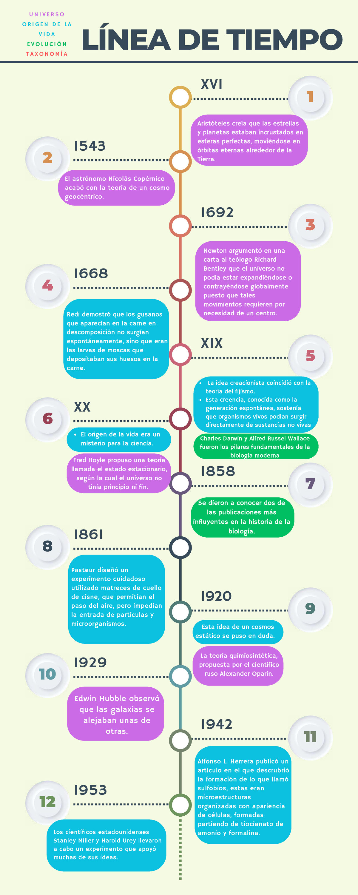Teoras Del Origen Y Evolucin De La Vida Timeline 768x932