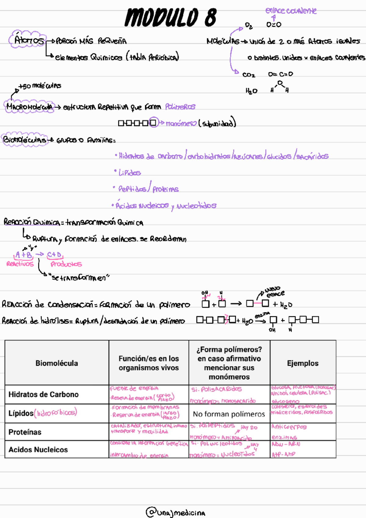 Modulo 8 BIO - Resumen Tp de biología - MODULO 8 enlace countente O2 ...
