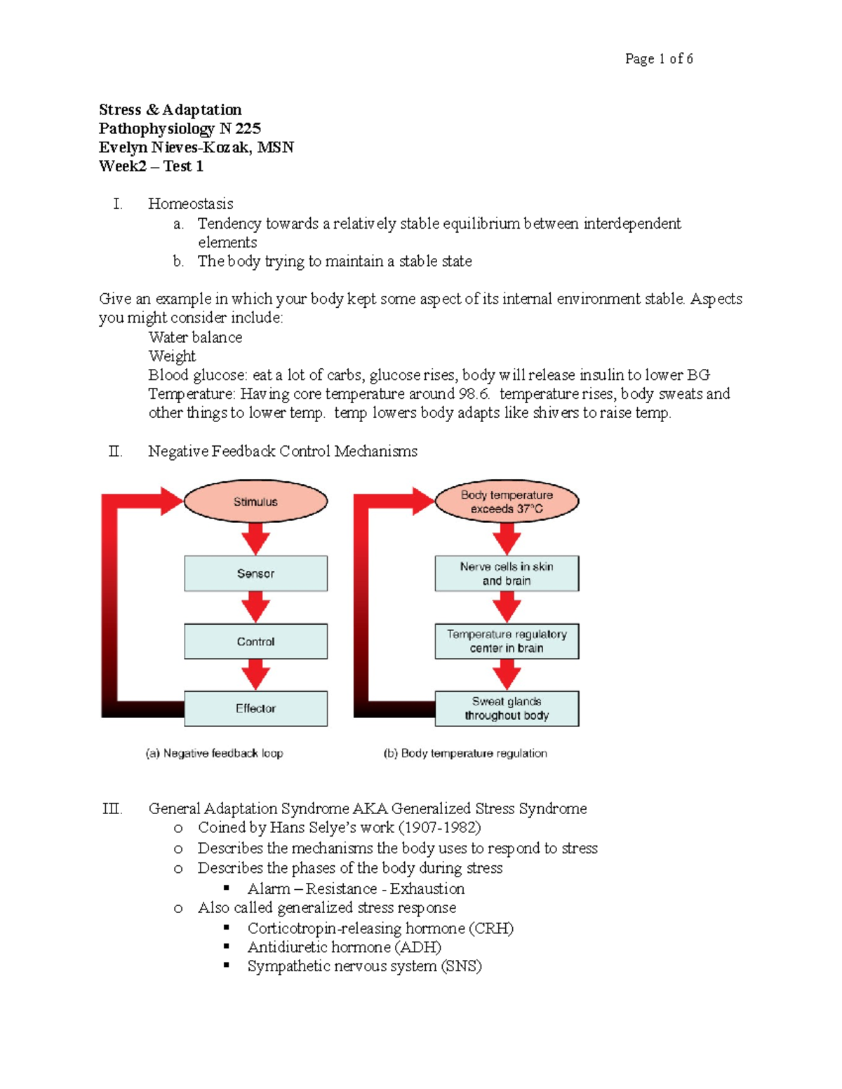 N 225 Week 3 Stress & Adaptation Study Notes - Exam Review Guide - Studocu