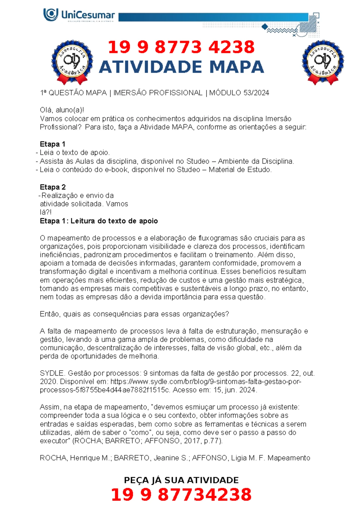 MAPA/PORTFÓLIO - PGER - IMERSÃO PROF. MAPEAMENTO DE PROCESSOS - 53_2024 ...