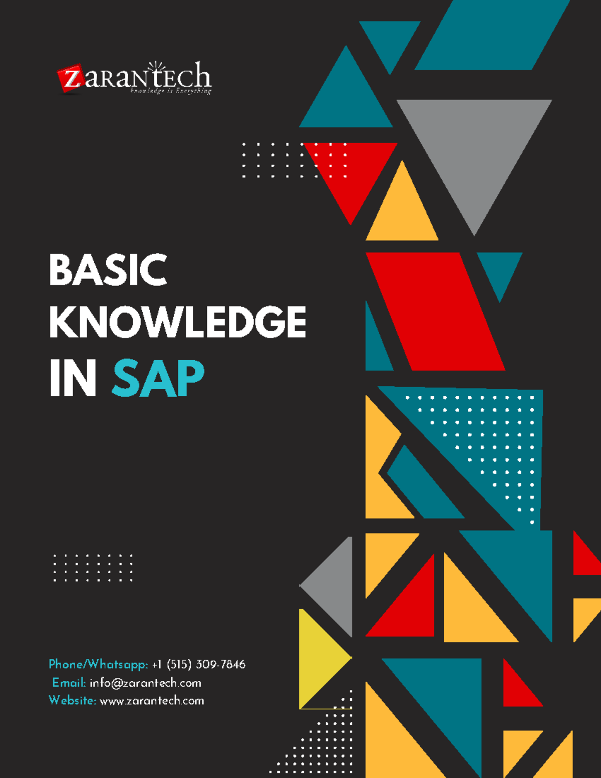 Basic Knowledge in SAP - Sap - BASIC KNOWLEDGE IN SAP Phone/Whatsapp ...