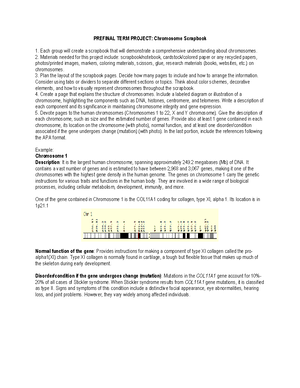 Pro Qol Manual - The ProQOL Manual THE PROFESSIONAL QUALITY OF LIFE ...