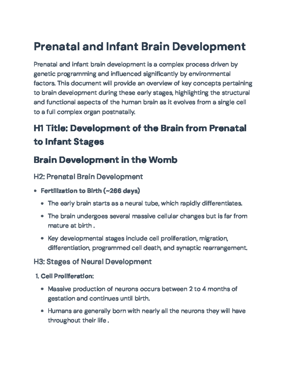 Prenatal and Infant Brain Development: Stages and Influences - Prenatal ...